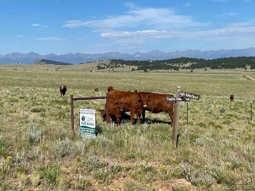Eagles Gate Road Westcliffe, CO 81252