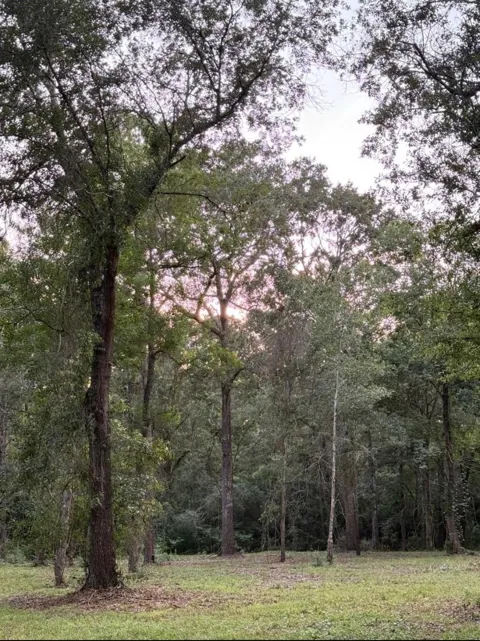 26164 Grand Pines Road