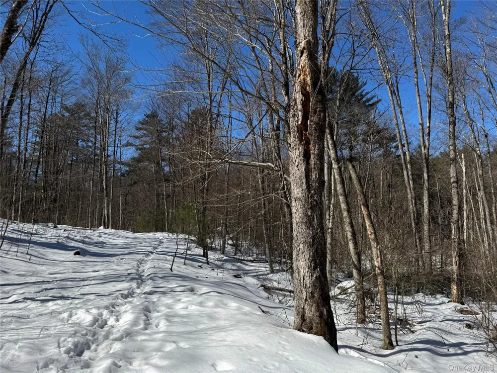 Lot 32 Woodstone Trail Bethel, NY 12720