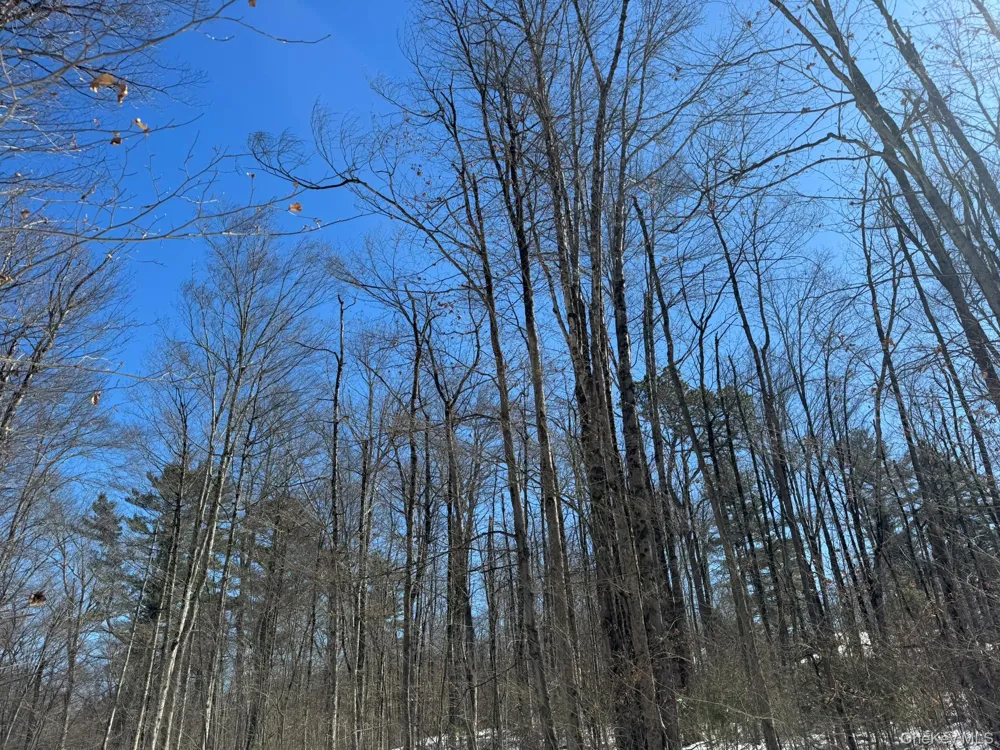 Lot 32 Woodstone Trail Bethel, NY 12720