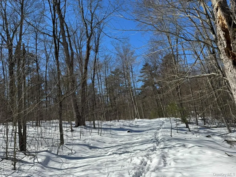 Lot 32 Woodstone Trail Bethel, NY 12720