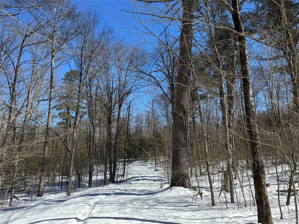 Lot 32 Woodstone Trail Bethel, NY 12720