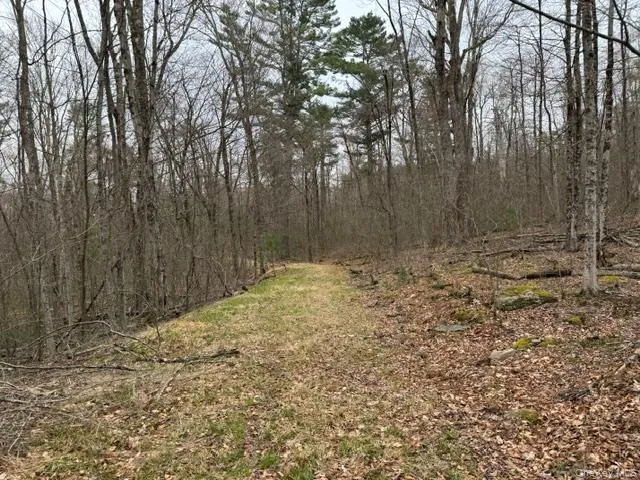 Lot 32 Woodstone Trail Bethel, NY 12720