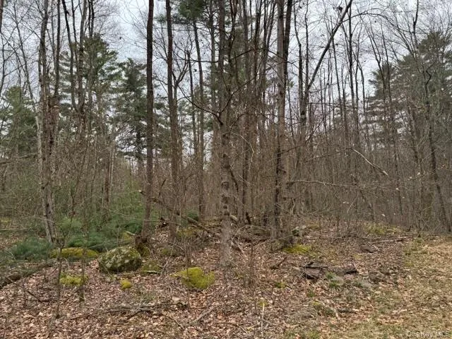Lot 32 Woodstone Trail Bethel, NY 12720