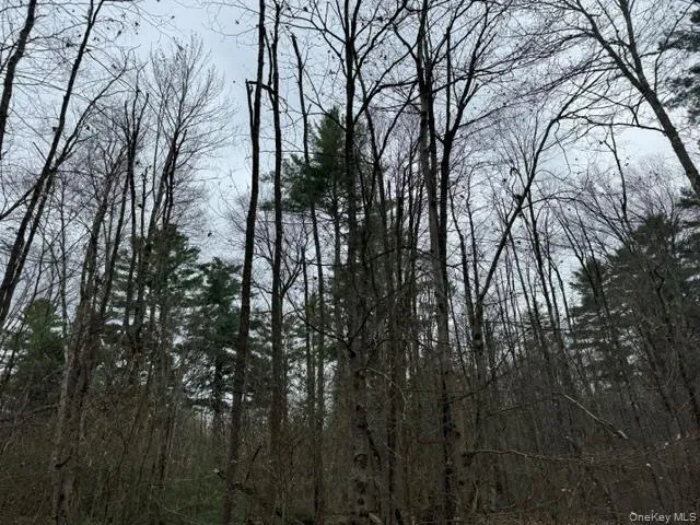 Lot 32 Woodstone Trail Bethel, NY 12720