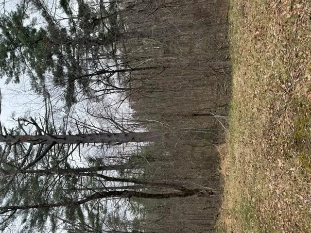 Lot 32 Woodstone Trail Bethel, NY 12720