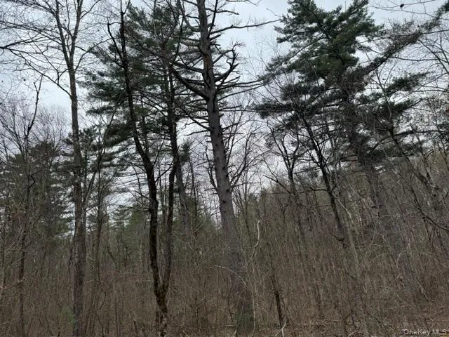 Lot 32 Woodstone Trail Bethel, NY 12720