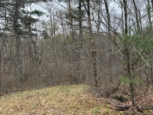 Lot 32 Woodstone Trail Bethel, NY 12720