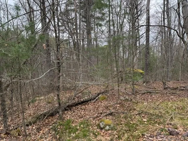 Lot 32 Woodstone Trail Bethel, NY 12720