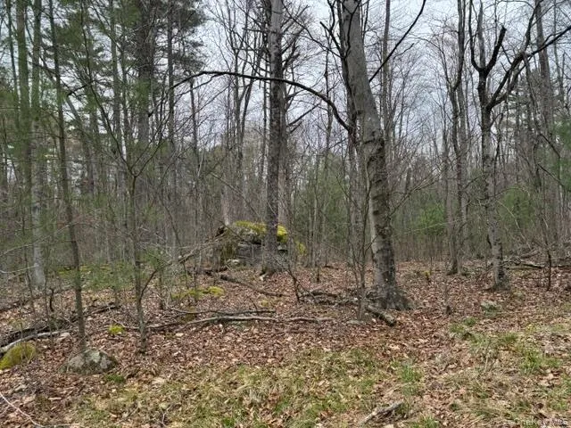 Lot 32 Woodstone Trail Bethel, NY 12720