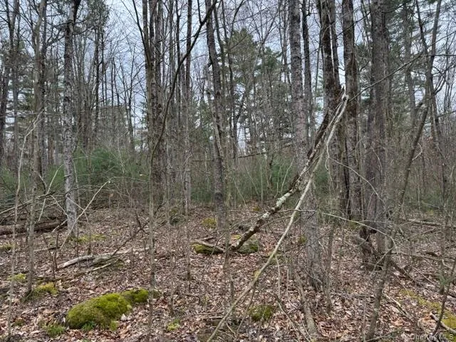 Lot 32 Woodstone Trail Bethel, NY 12720