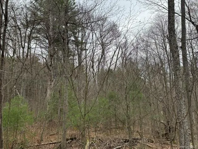 Lot 32 Woodstone Trail Bethel, NY 12720