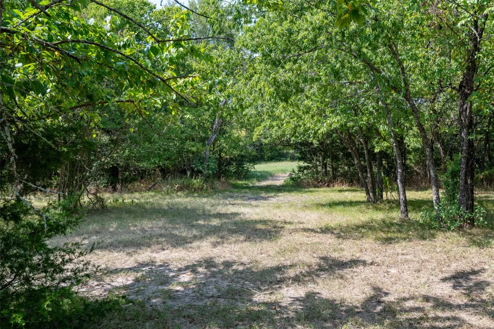 1579 County Road 3365 Ladonia, TX 75449