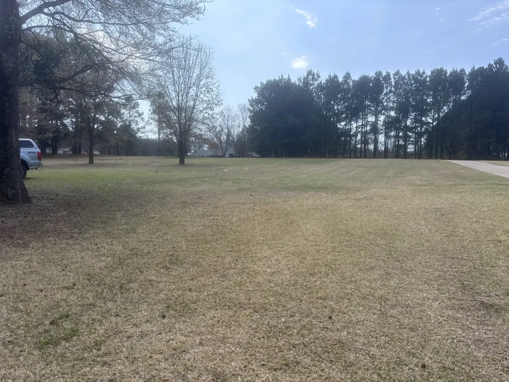 CR 1503 Alba, TX 75410