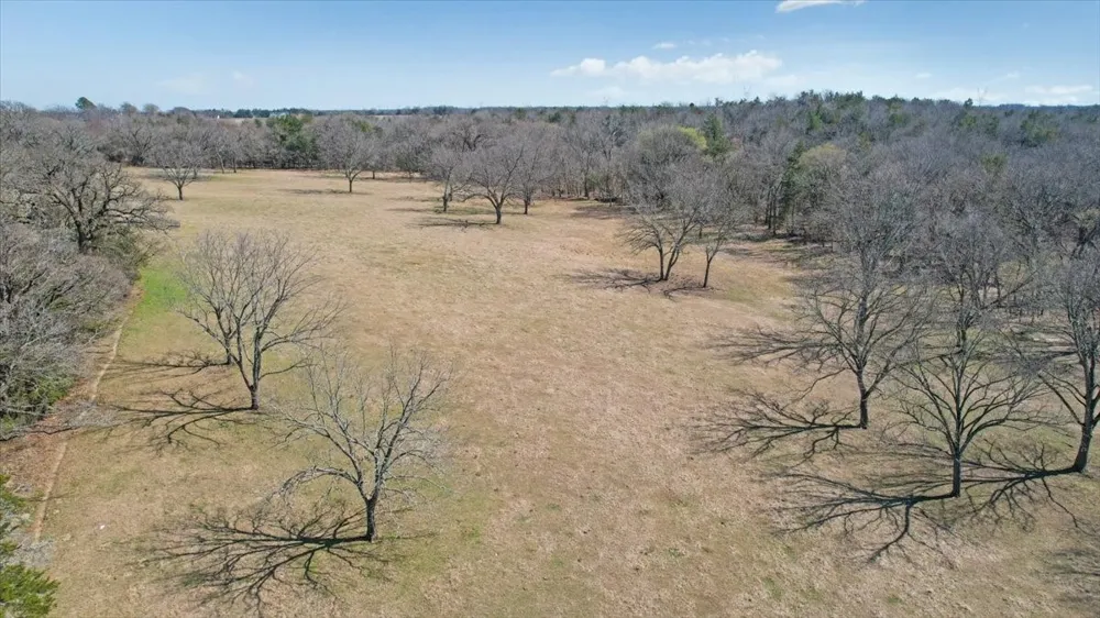 1966 County Road 2980 Windom, TX 75492