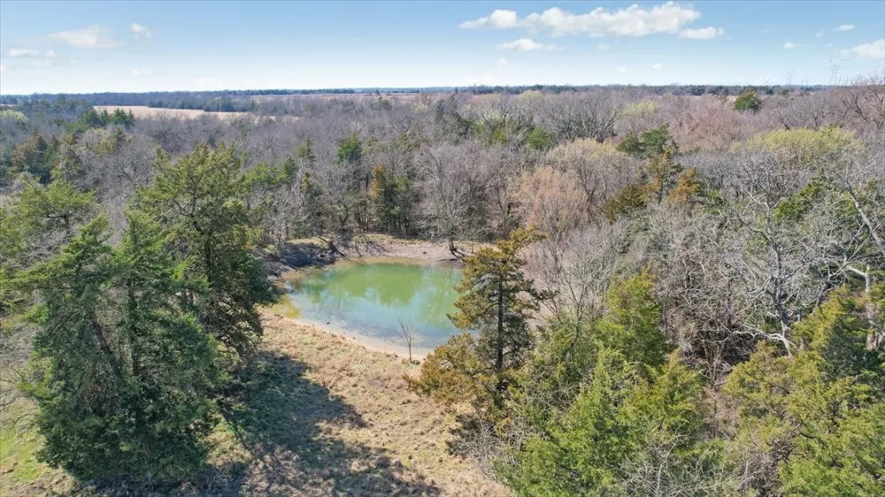 1966 County Road 2980 Windom, TX 75492