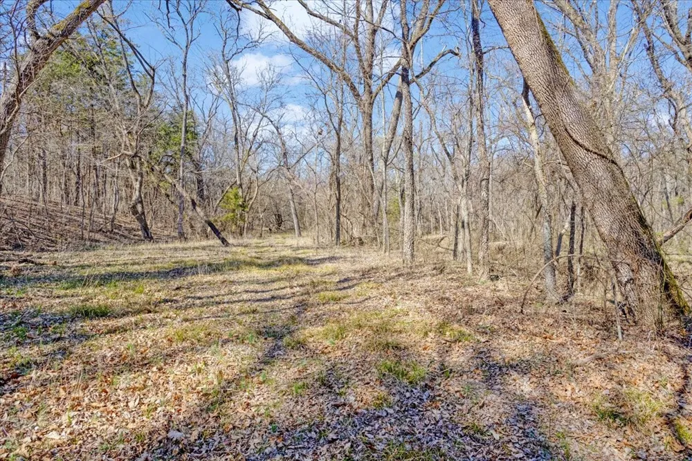 1966 County Road 2980 Windom, TX 75492
