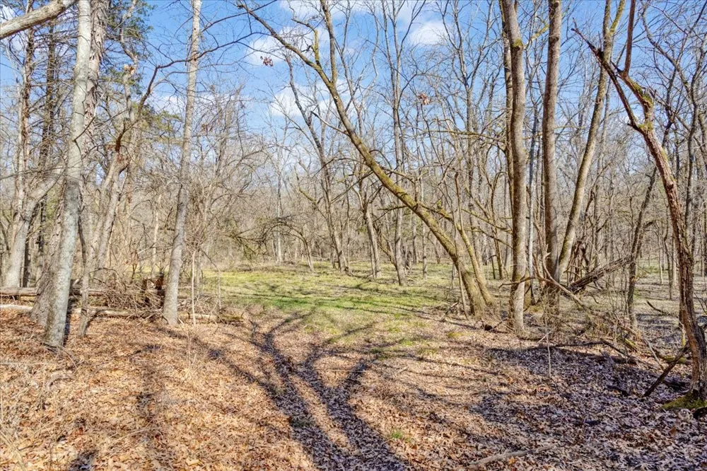 1966 County Road 2980 Windom, TX 75492