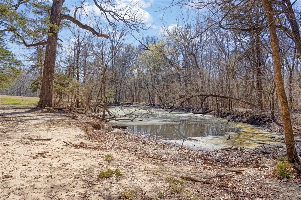 1966 County Road 2980 Windom, TX 75492