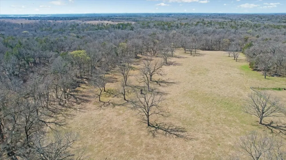 1966 County Road 2980 Windom, TX 75492
