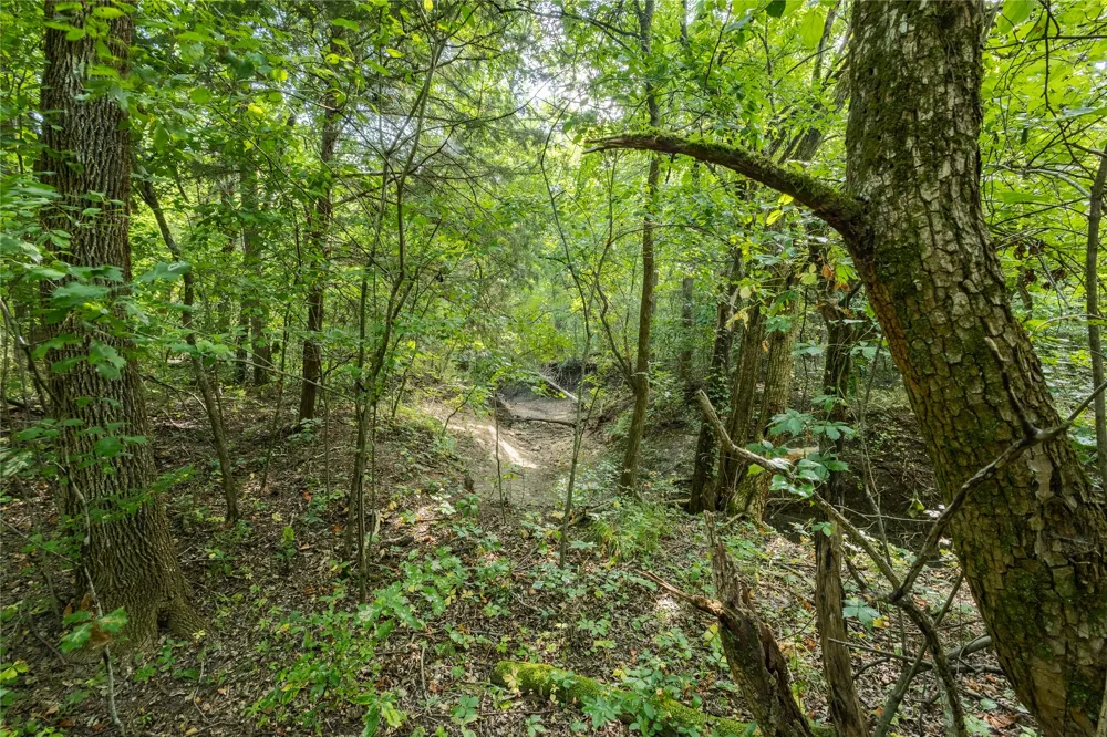 1966 County Road 2980 Windom, TX 75492