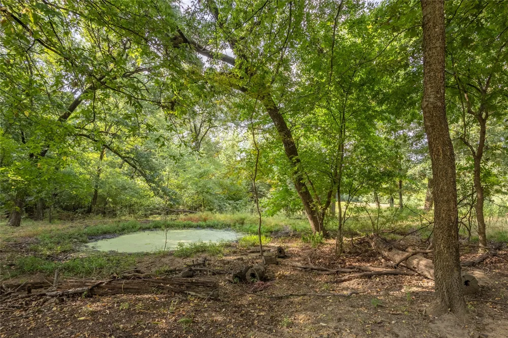 1966 County Road 2980 Windom, TX 75492