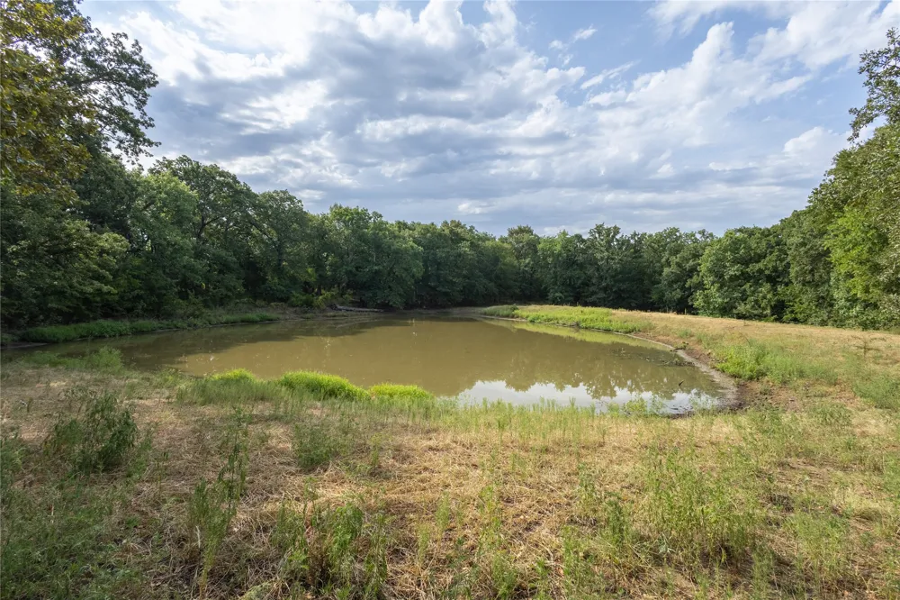 1966 County Road 2980 Windom, TX 75492