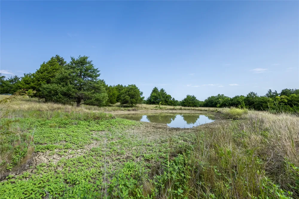1966 County Road 2980 Windom, TX 75492