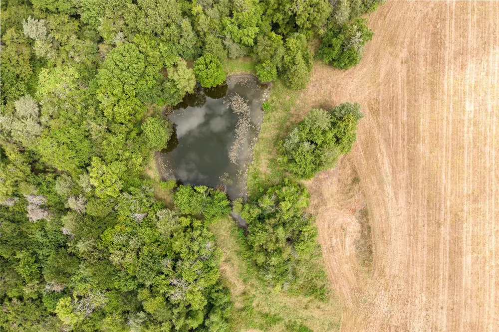 1966 County Road 2980 Windom, TX 75492