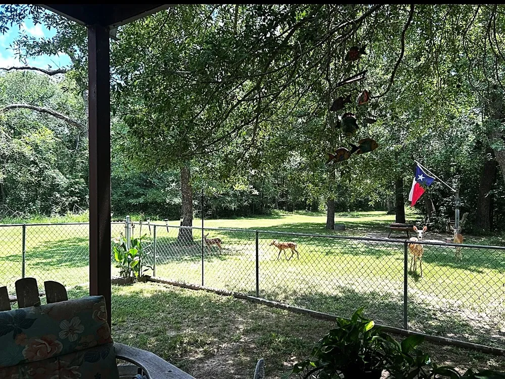 414 Lcr 763 Groesbeck, TX 76642