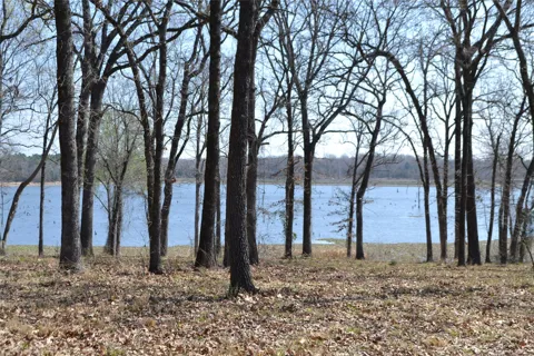 Angler Shores Drive