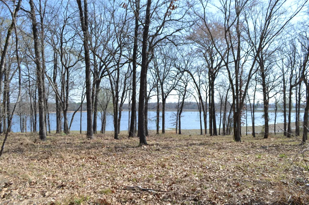 Angler Shores Drive Yantis, TX 75497