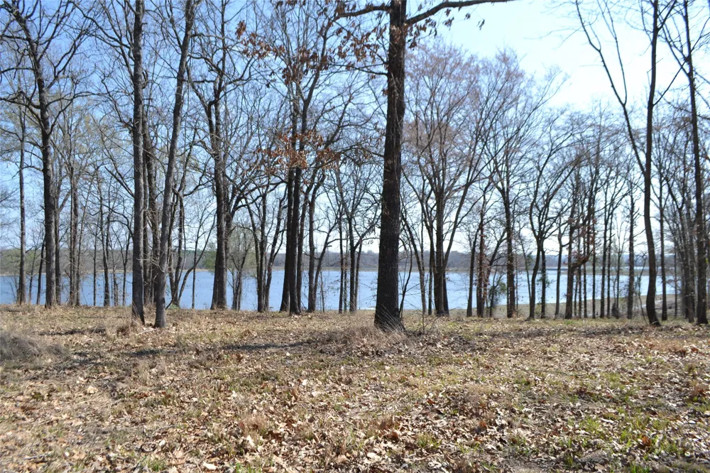 Angler Shores Drive Yantis, TX 75497