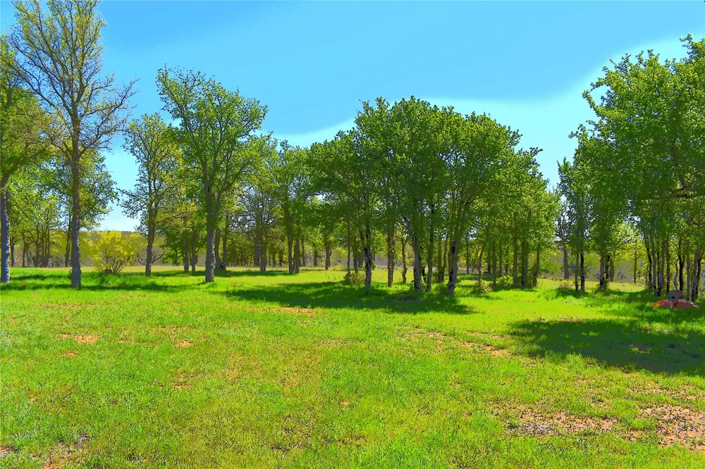 State Hwy 148 Jacksboro, TX 76458