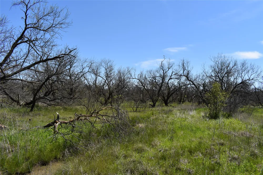 State Hwy 148 Jacksboro, TX 76458