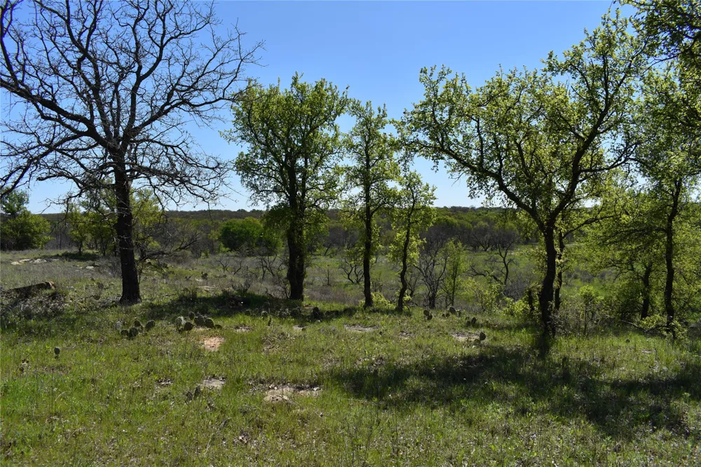 State Hwy 148 Jacksboro, TX 76458