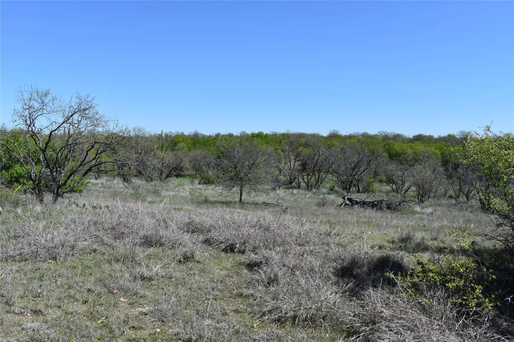 State Hwy 148 Jacksboro, TX 76458