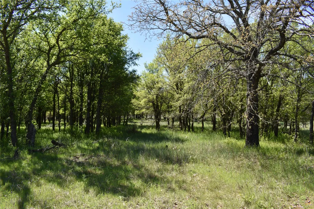 State Hwy 148 Jacksboro, TX 76458