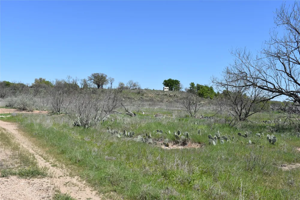 State Hwy 148 Jacksboro, TX 76458