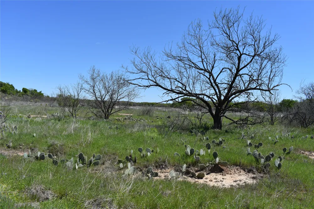 State Hwy 148 Jacksboro, TX 76458