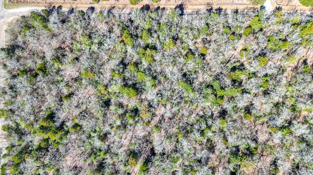FCR 540 Fairfield, TX 75840