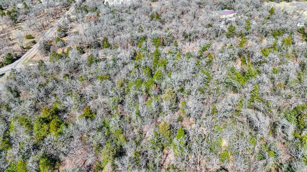 FCR 540 Fairfield, TX 75840