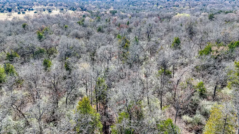 FCR 540 Fairfield, TX 75840