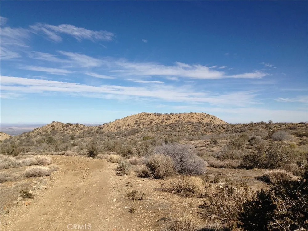 Vacant Land Pinon Hills, CA 92372