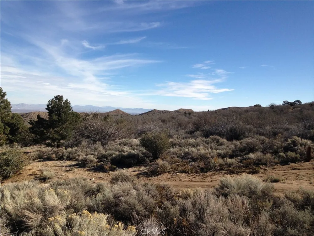 Vacant Land Pinon Hills, CA 92372