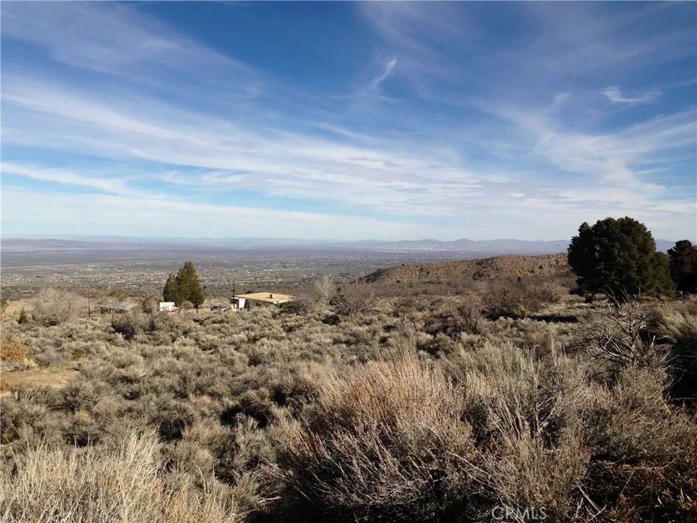 Vacant Land Pinon Hills, CA 92372