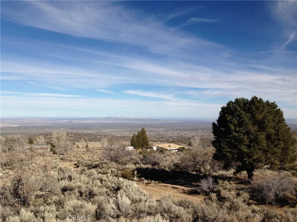 Vacant Land Pinon Hills, CA 92372