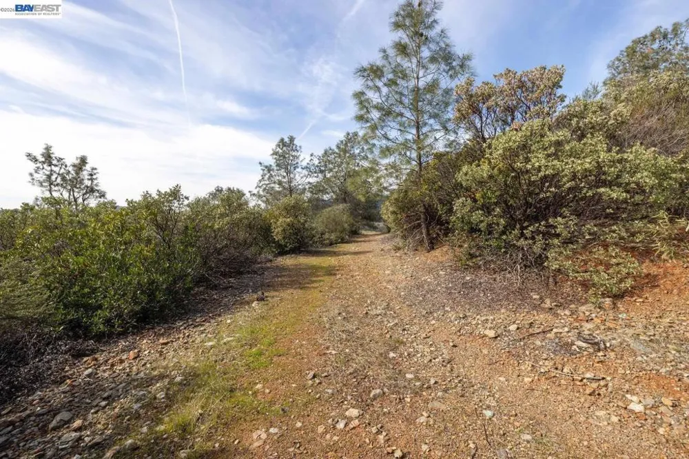 7850 Watermark Place El Dorado Hills, CA 95762