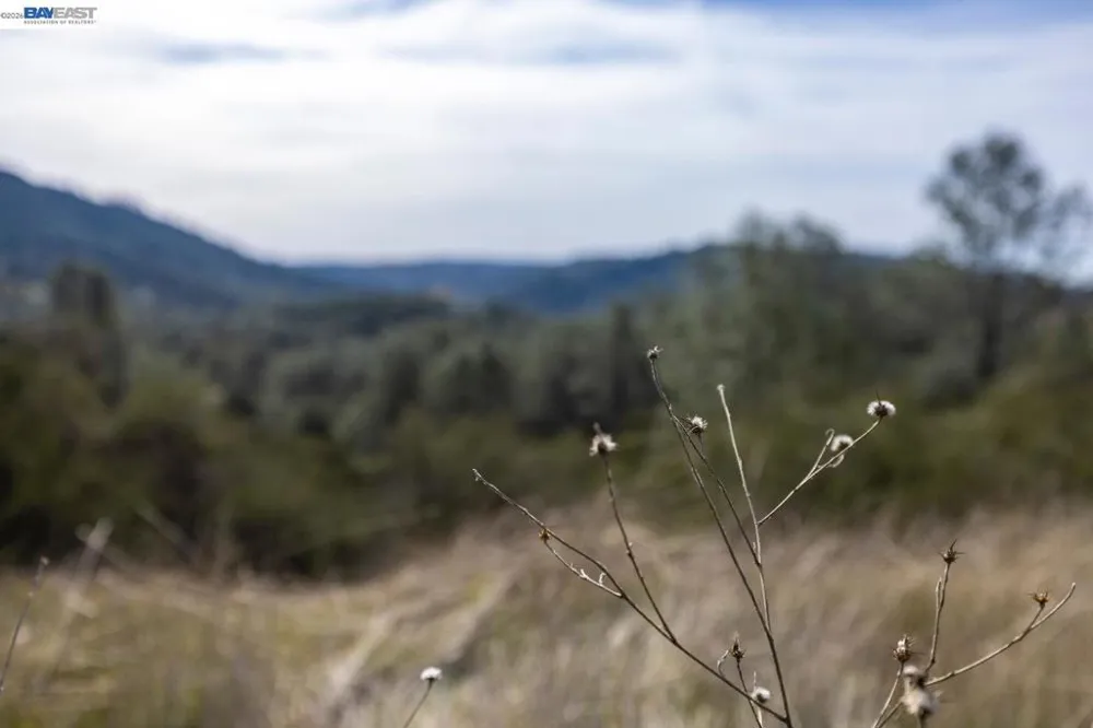 7850 Watermark Place El Dorado Hills, CA 95762