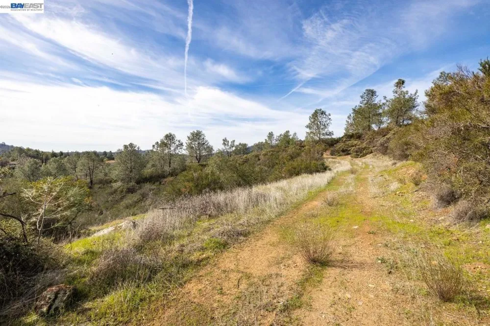 7850 Watermark Place El Dorado Hills, CA 95762